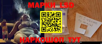 крисы Кингисепп