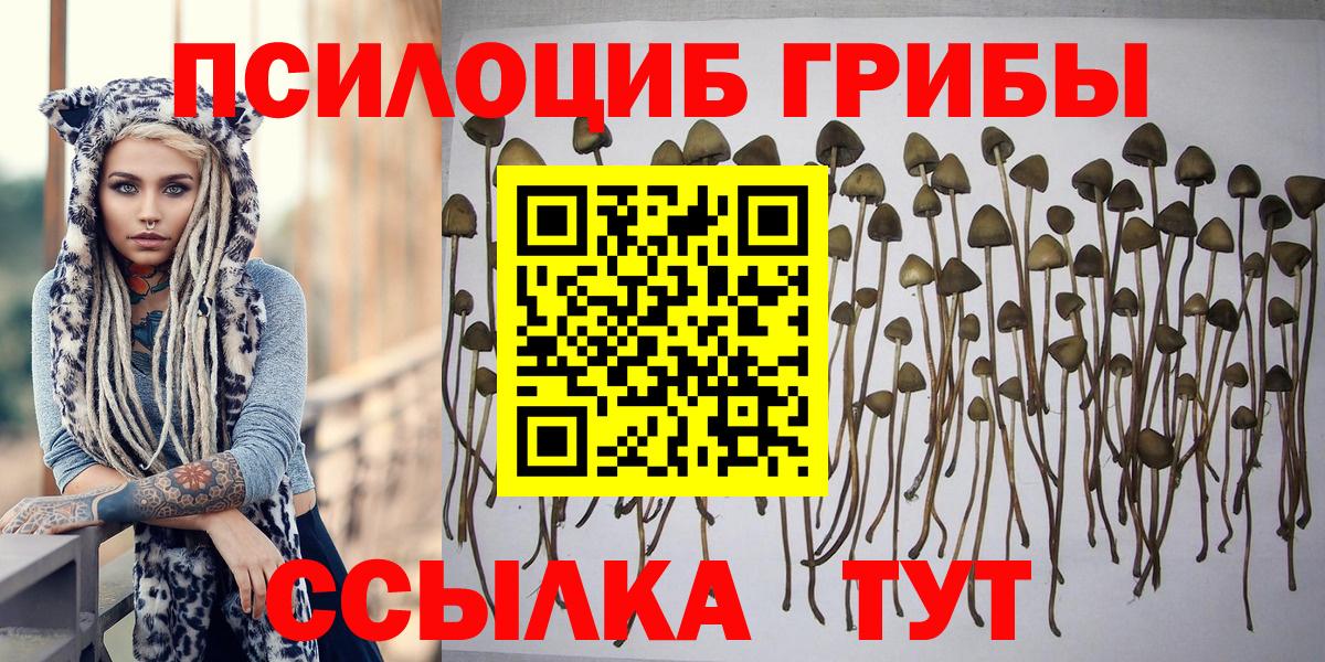 Галлюциногенные грибы Magic Shrooms Великие Луки