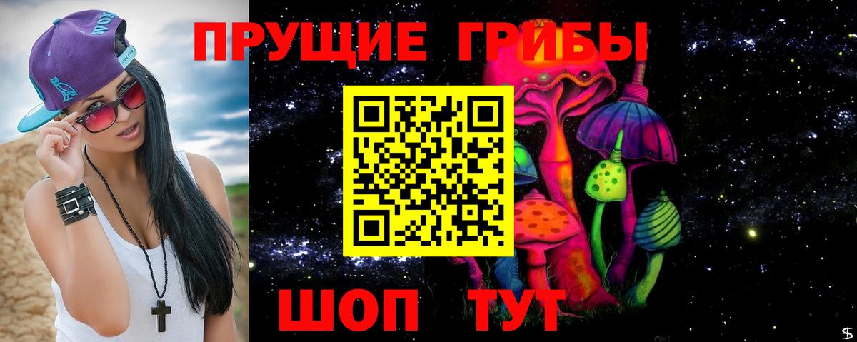 Великие Луки  Псилоцибиновые грибы прущие грибы  Вход с VPN 
